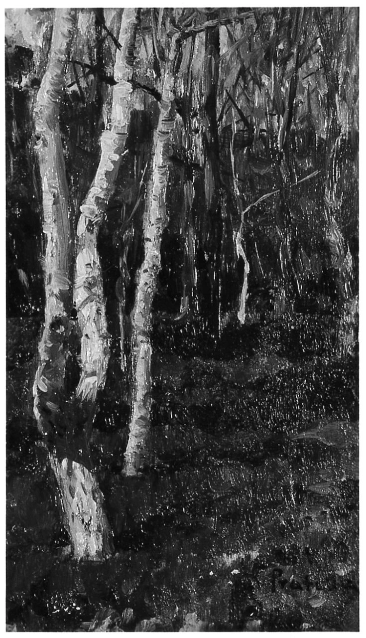  29-paesaggio con alberi -Palazzo Pitti-Firenze 